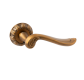 image124