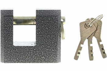 VETTORE ZN2-3-70 MP (Порошковый)