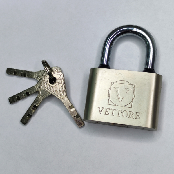 TL-BZ 4_живое фото SN